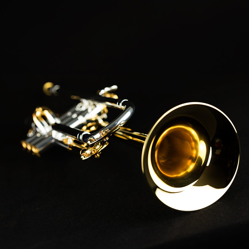 Buddenbohm Trompete Infinity Jarquin – Detailaufnahme 4